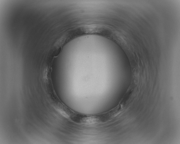 X0000073870219200608312101