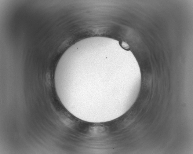 X0000073870220200608312101