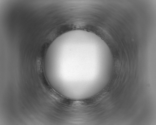 X0000073870222200608312101