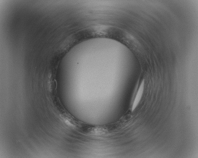 X0000073870223200608312101