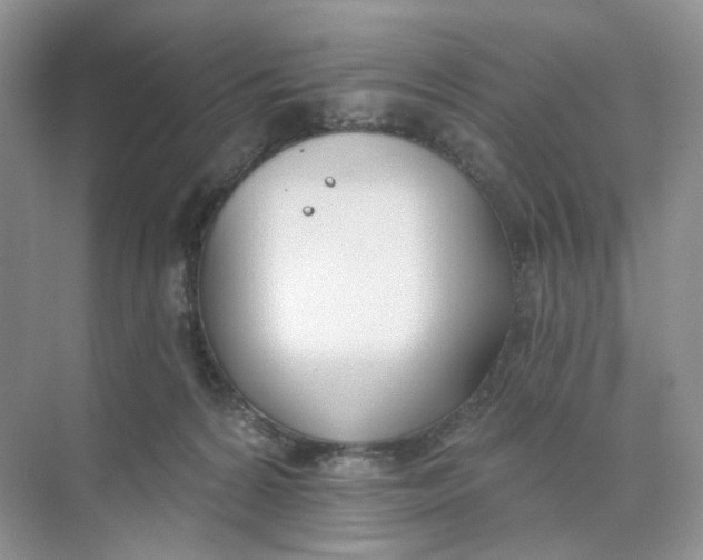 X0000073870224200608312101