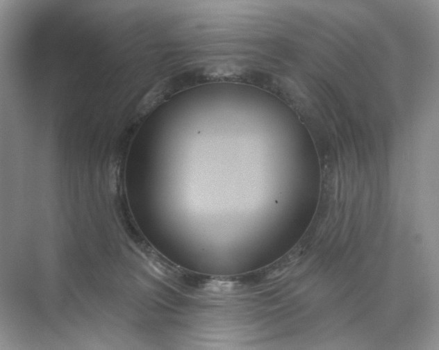 X0000073870227200608312101