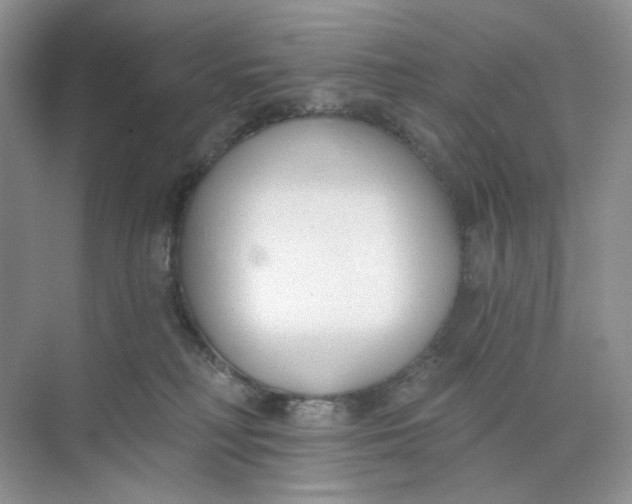 X0000073870230200608312101