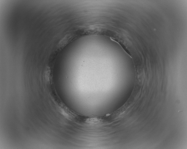 X0000073870231200608312101