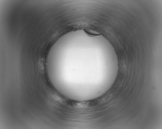 X0000073870232200608312101