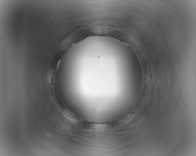 X0000073870233200608312101