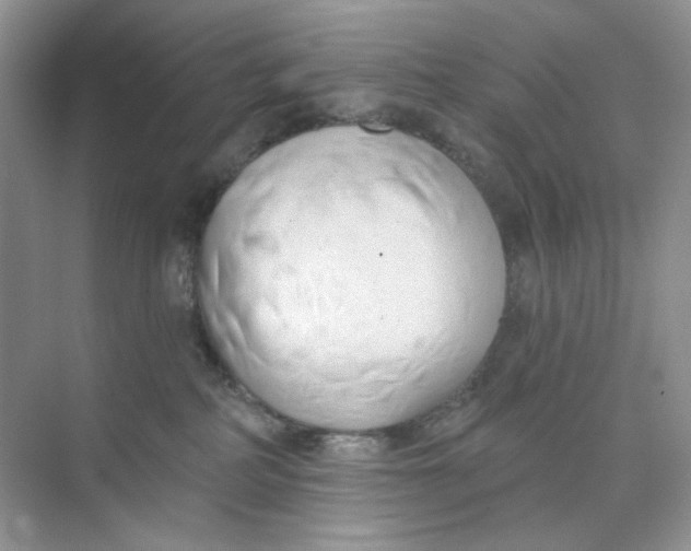 X0000073870234200608312100