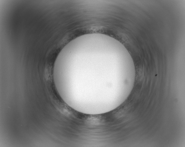 X0000073870236200608312100