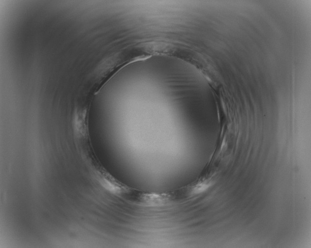 X0000073870239200608312100