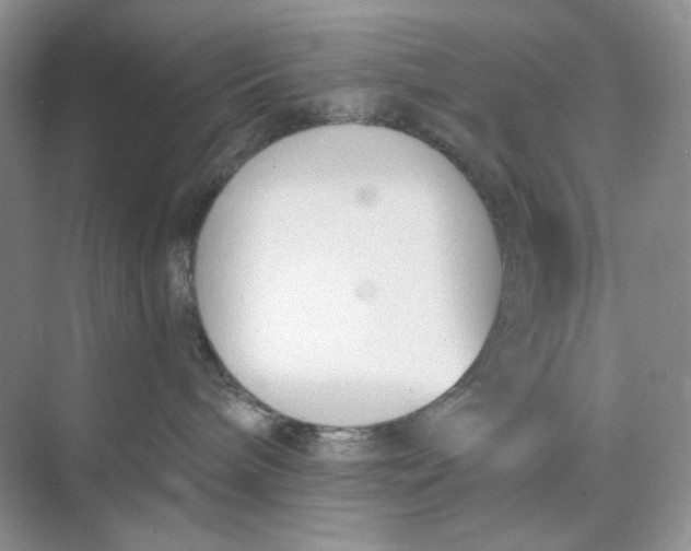 X0000073870240200608312100