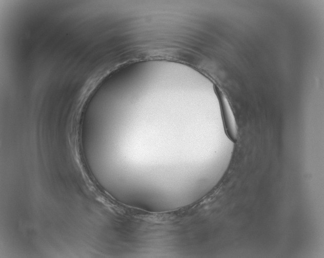 X0000073870241200608312100