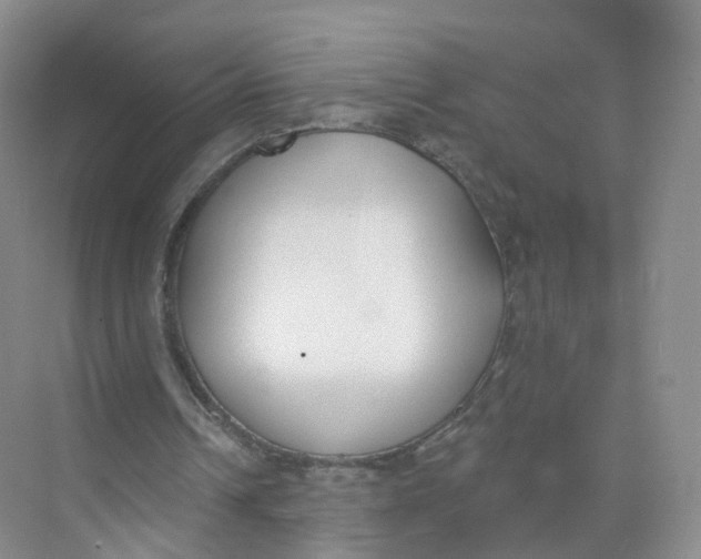 X0000073870242200608312100