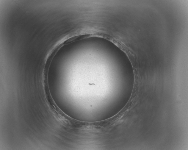 X0000073870244200608312100