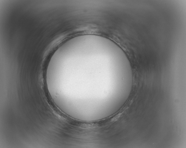 X0000073870245200608312100