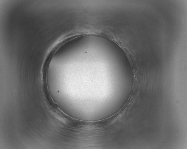 X0000073870246200608312100