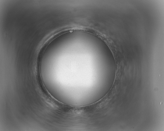 X0000073870247200608312100