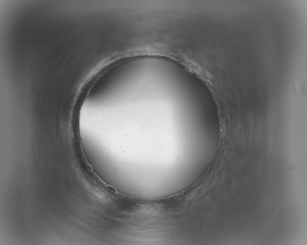 X0000073870248200608312100