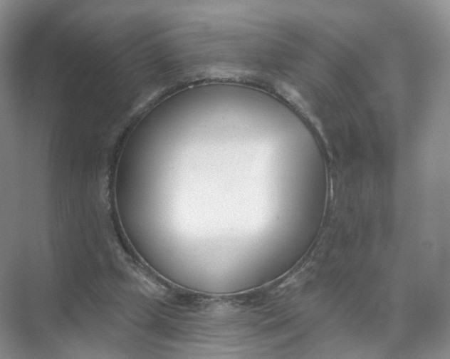 X0000073870249200608312100