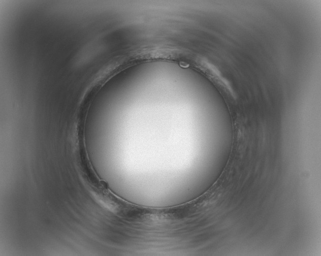 X0000073870250200608312100