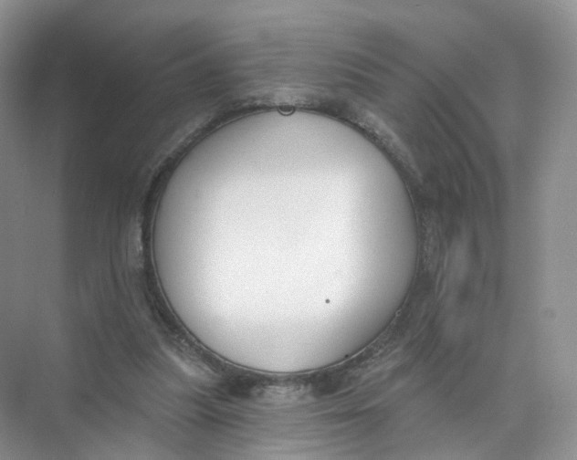 X0000073870251200608312100