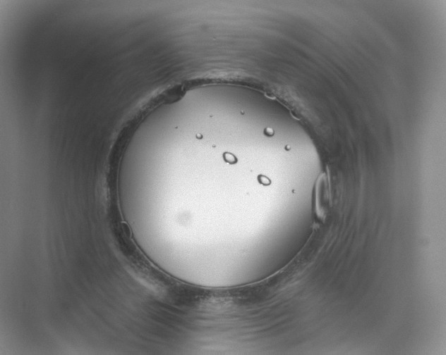 X0000073870252200608312100