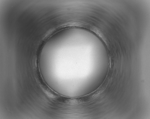 X0000073870253200608312100