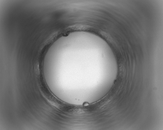 X0000073870254200608312100