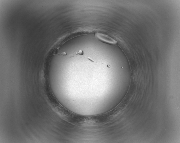 X0000073870256200608312100