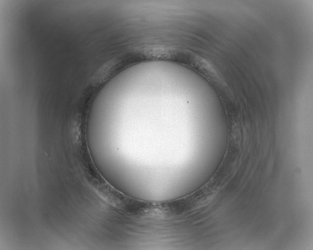 X0000073870259200608312100