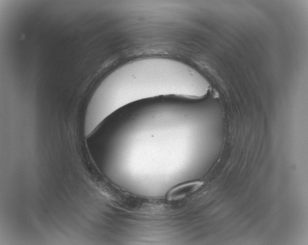 X0000073870260200608312100