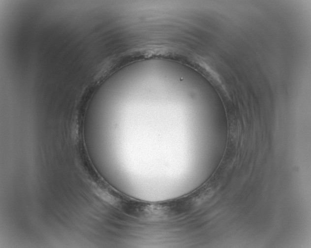 X0000073870261200608312100