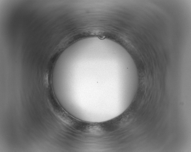 X0000073870262200608312100