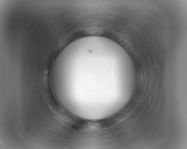 X0000073870263200608312100