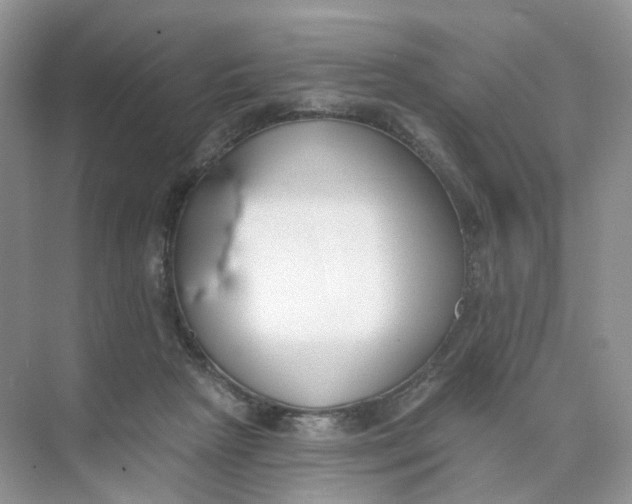 X0000073870265200608312100