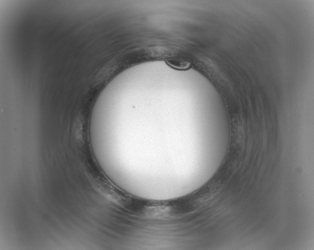 X0000073870266200608312100