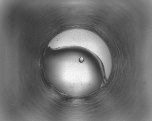 X0000073870268200608312100