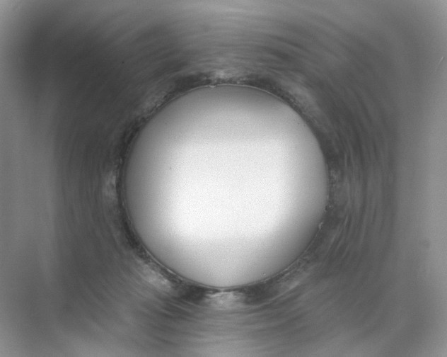 X0000073870269200608312100