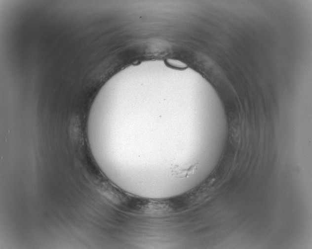 X0000073870270200608312100