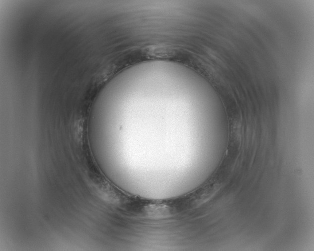 X0000073870271200608312100