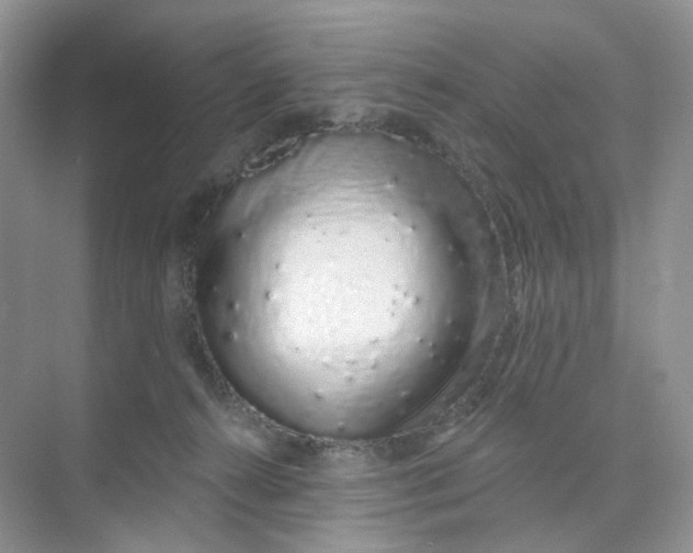 X0000073870272200608312100