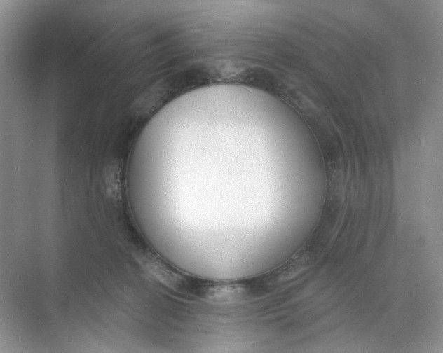 X0000073870274200608312100