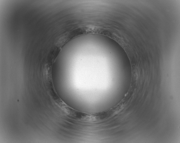 X0000073870276200608312100