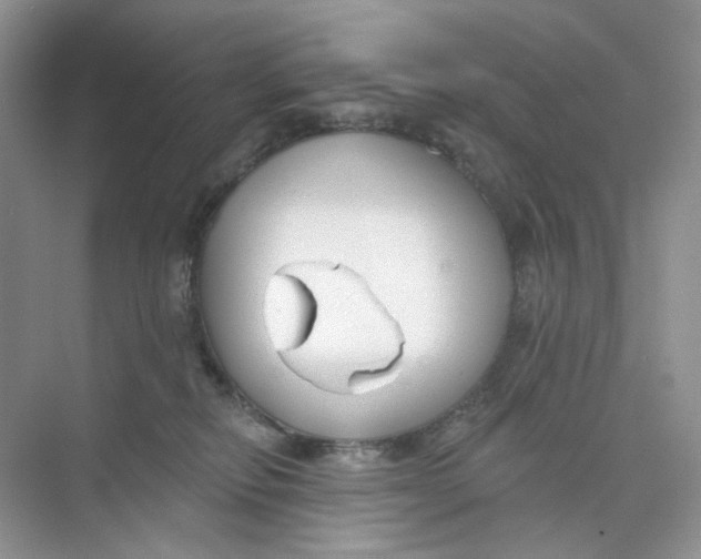 X0000073870278200608312100