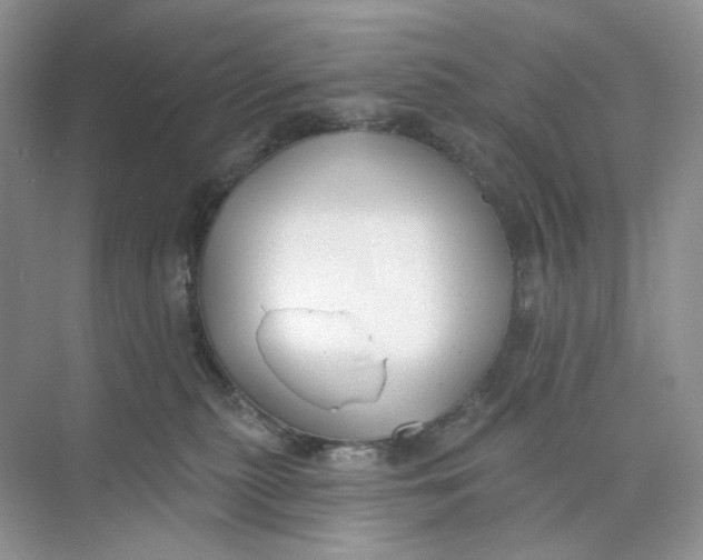 X0000073870279200608312100