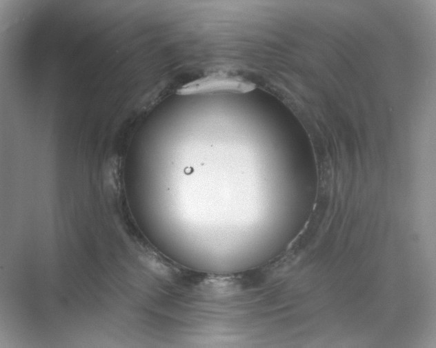 X0000073870280200608312100