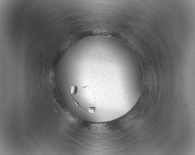 X0000073870281200608312100