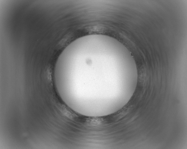 X0000073870282200608312100