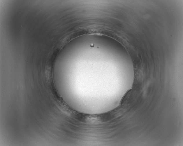 X0000073870283200608312100