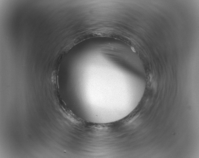 X0000073870284200608312100