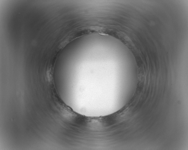 X0000073870285200608312100